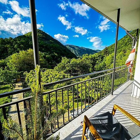Family Hotel Mountain Panorama Borjomi Eksteriør billede