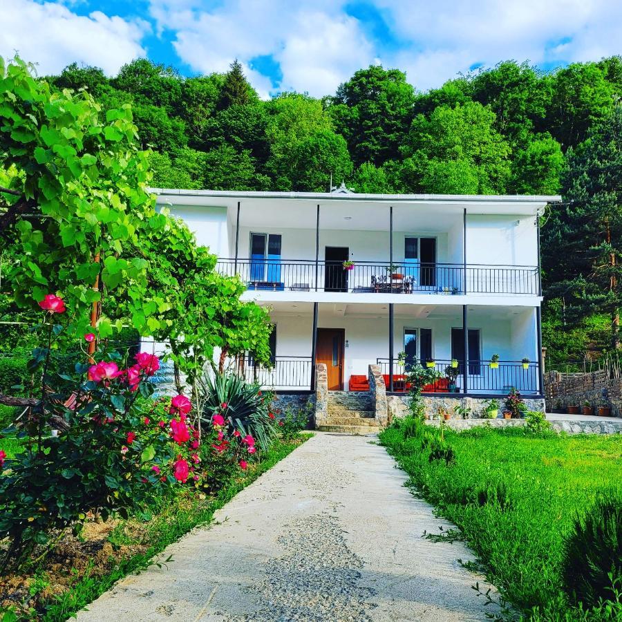 Family Hotel Mountain Panorama Borjomi Eksteriør billede