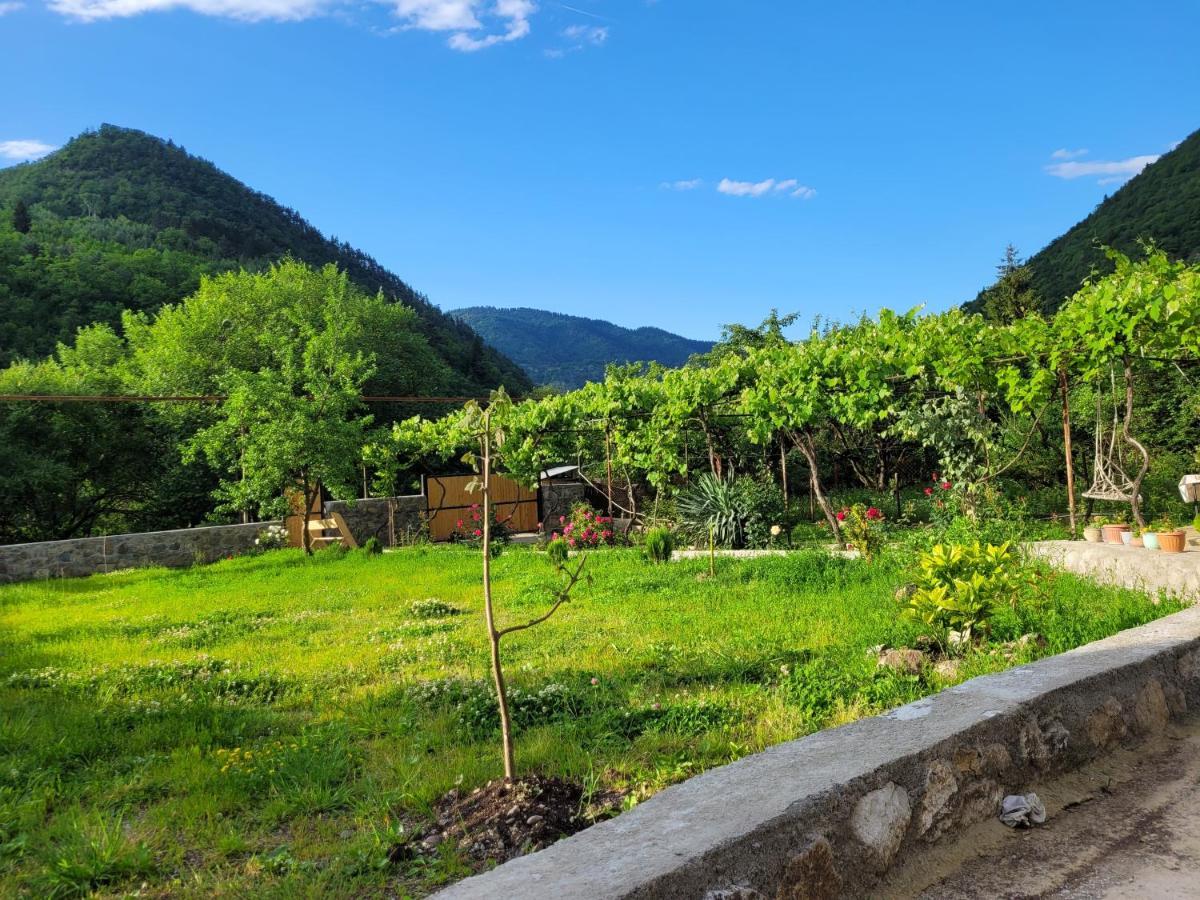 Family Hotel Mountain Panorama Borjomi Eksteriør billede
