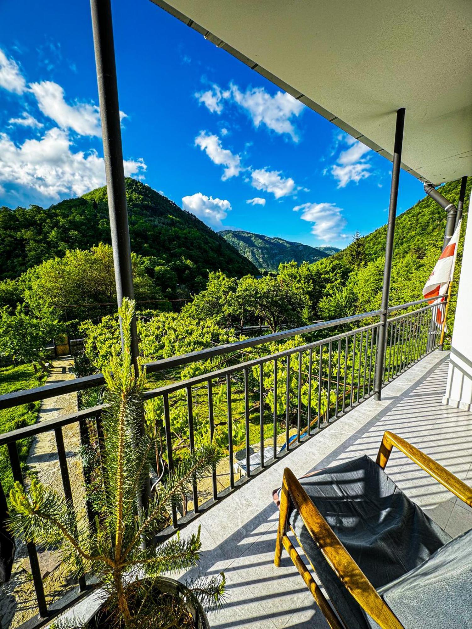 Family Hotel Mountain Panorama Borjomi Eksteriør billede