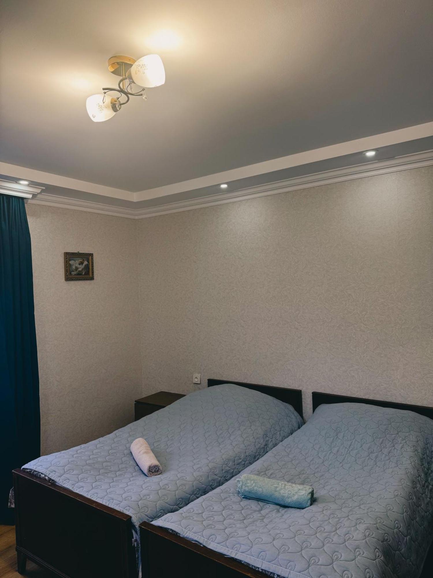 Family Hotel Mountain Panorama Borjomi Eksteriør billede